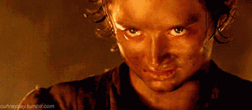 Frodo Lotr GIF