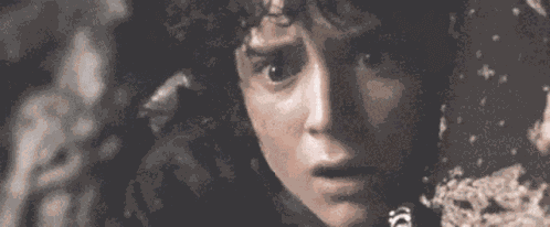 Frodo No GIF