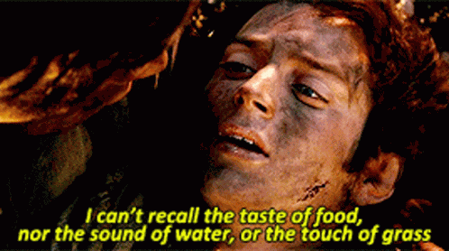 Frodo Recall GIF