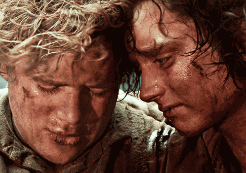 Frodo Sam GIF