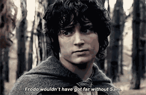 Frodo Sam GIF