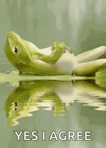 Frog Chill GIF