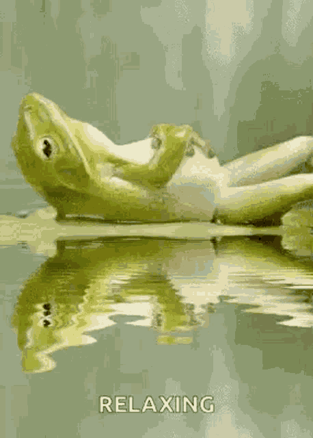 Frog Chill GIF