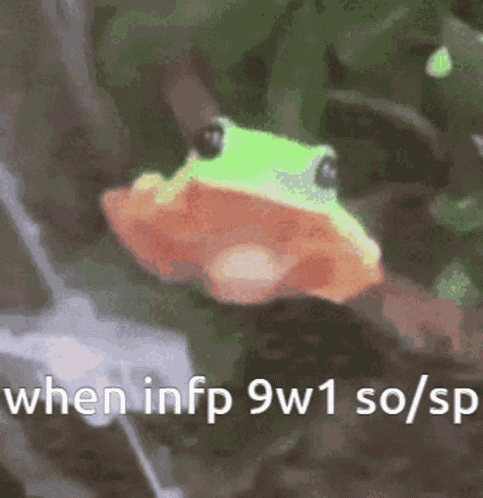 Frog Infp GIF