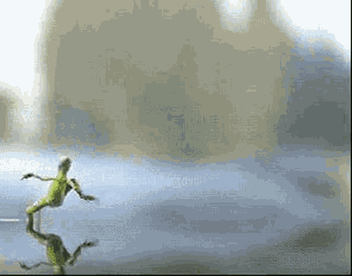 Frog GIF