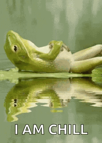 Frog Lily GIF