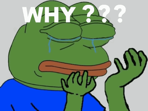 Frog Why GIF
