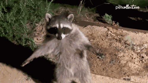 Froze Stop Moving GIF
