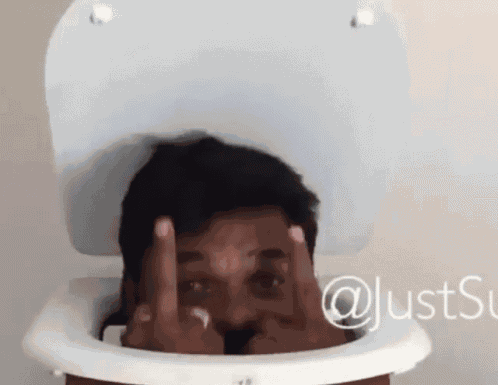 Fuckyou Toilet GIF