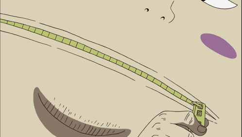 Fukuro Fukuro One Piece GIF