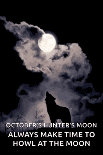 Full Moon Good Night GIF