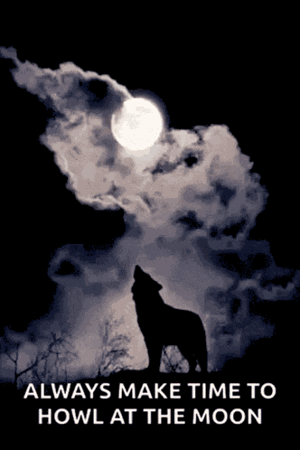 Full Moon Good Night GIF