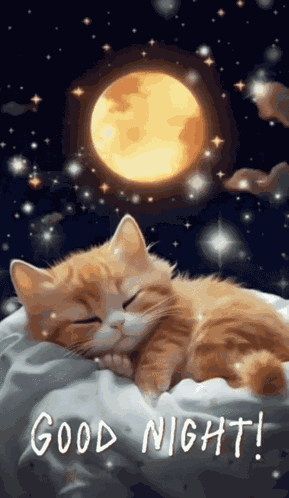 Full Moon Mooning GIF