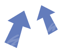 Fullframenl Arrow Sticker