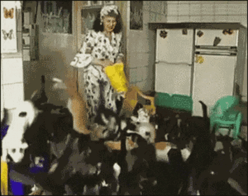 Fullofcats Wearefull GIF