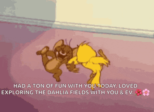 Fun GIF