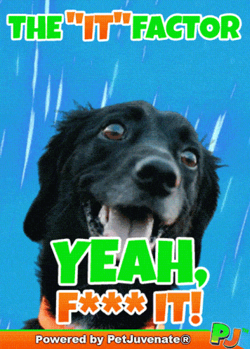 Fund It Startup Bootstrap Pj Petjuvenate Funk You Are Funky For Venture Capital GIF