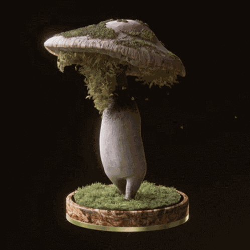 Fungi13 Fungiblefungi13 GIF