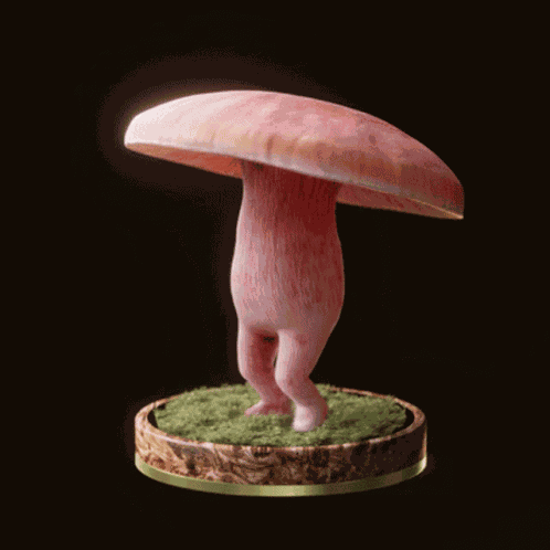 Fungi16 Fungiblefungi16 GIF