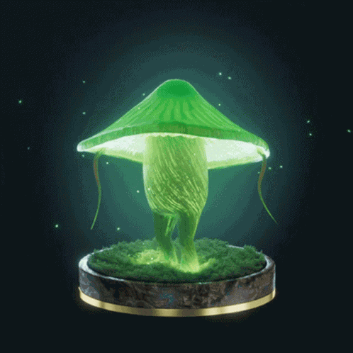 Fungi20 Fungiblefungi20 GIF