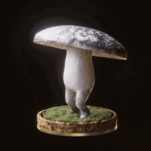 Fungi22 Fungiblefungi22 GIF