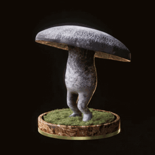 Fungi27 Fungiblefungi27 GIF