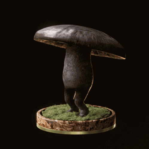 Fungi29 Fungiblefungi29 GIF
