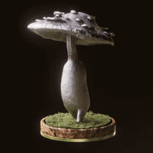 Fungi51 Fungiblefungi51 GIF