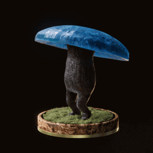 Fungi65 Fungiblefungi65 GIF