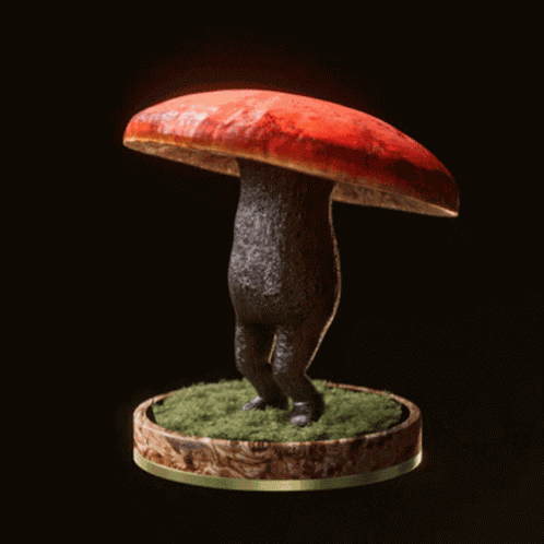 Fungi66 Fungiblefungi66 GIF