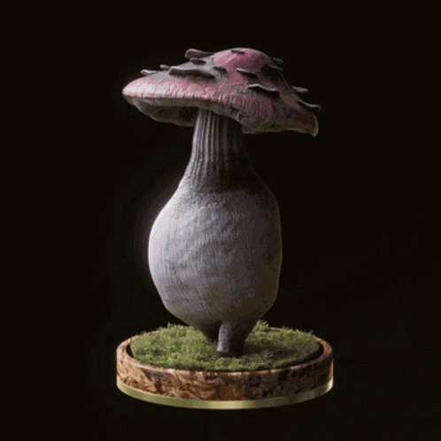 Fungi69 Fungiblefungi69 GIF