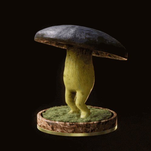 Fungi74 Fungiblefungi74 GIF