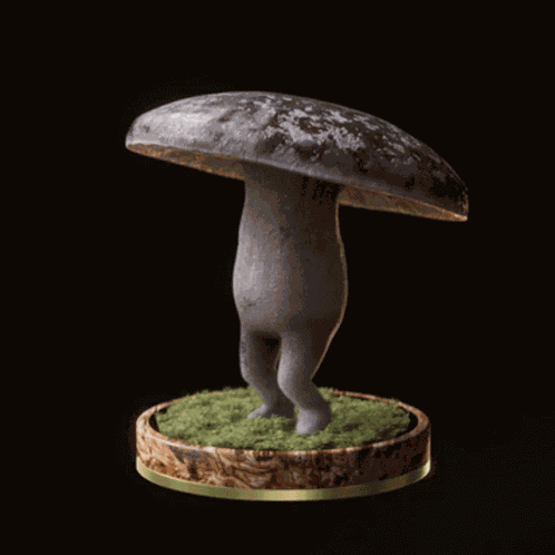 Fungi79 Fungiblefungi79 GIF