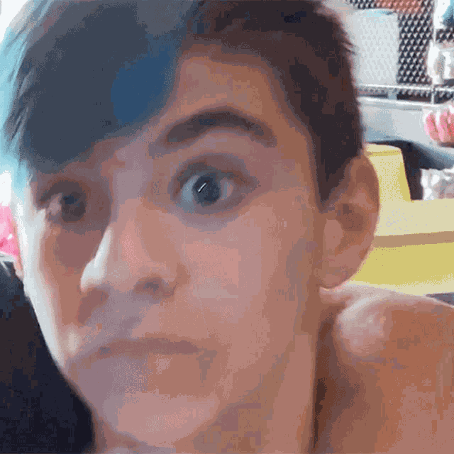 Funhouse Family Daylin GIF