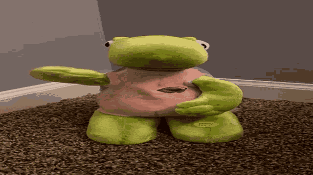 Funky Town Turtle GIF