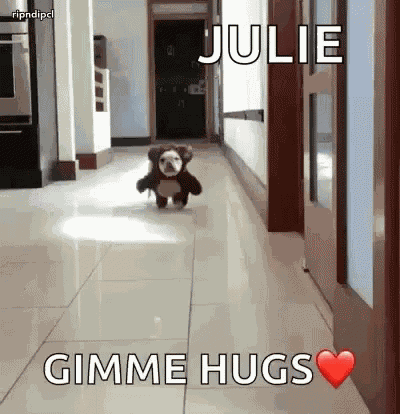 Funny Animals Dogs GIF