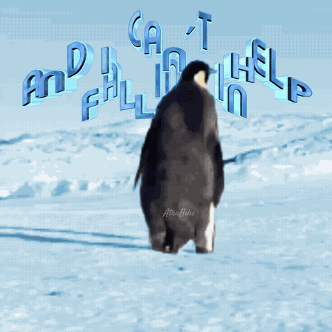 Funny Animals Funny Penguin Gif GIF