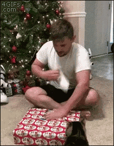Funny Animals Merry Christmas GIF