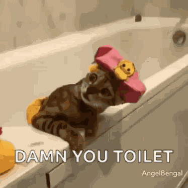 Funny Animals Spa Day GIF
