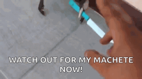 Funny Animals Watch Out For My Machete GIF