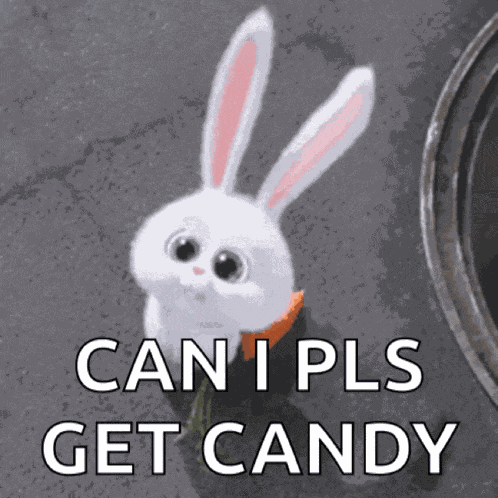 Funny Bunny Reminder Bunny GIF