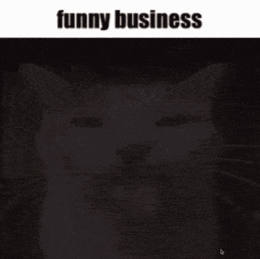 Funny Business Milly Cat Meow Meow GIF