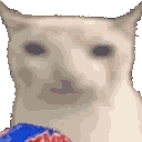 Funny Cat Meme Sticker