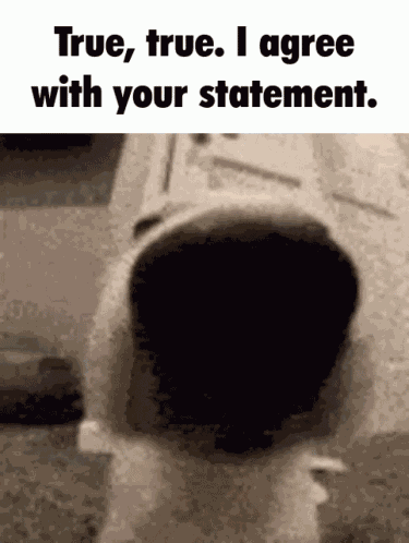 Funny GIF