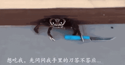 Funny Crab GIF