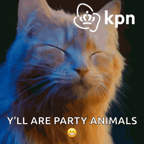 Funny Cute GIF
