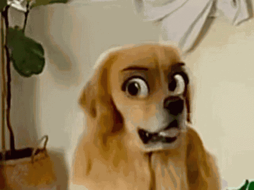 Funny Dog GIF