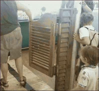 Funny Door GIF