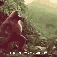 Funny GIF