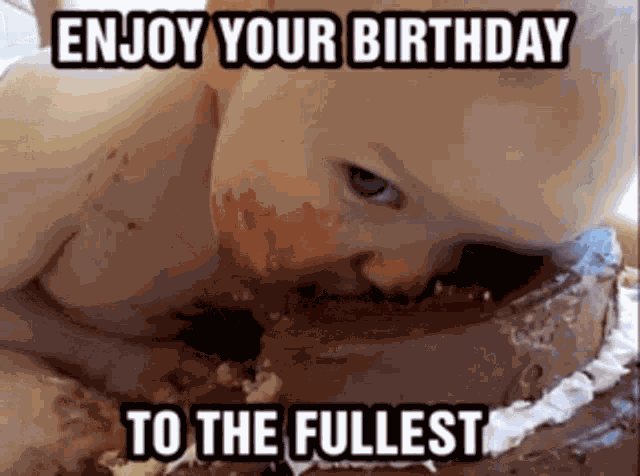 Funny Enjoy Your Birthday To The Fullest GIF